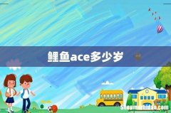 鲤鱼ace多少岁