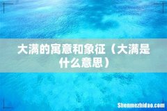 大满是什么意思 大满的寓意和象征
