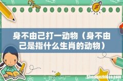 身不由己是指什么生肖的动物 身不由己打一动物