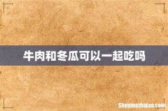 牛肉和冬瓜可以一起吃吗