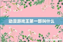 动漫游戏王第一部叫什么