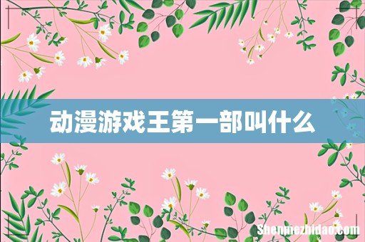 动漫游戏王第一部叫什么