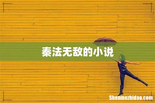 秦法无敌的小说