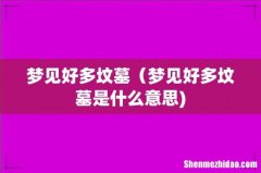 梦见好多坟墓（梦见好多坟墓是什么意思)