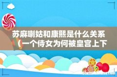 一个侍女为何被皇宫上下尊重 苏麻喇姑和康熙是什么关系