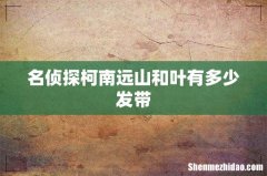 名侦探柯南远山和叶有多少发带