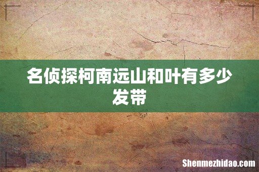 名侦探柯南远山和叶有多少发带