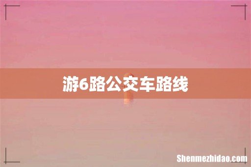 游6路公交车路线