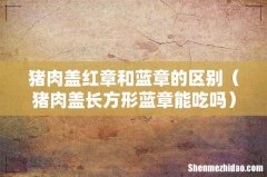 猪肉盖长方形蓝章能吃吗 猪肉盖红章和蓝章的区别
