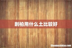 刺柏用什么土比较好