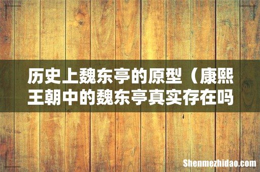 康熙王朝中的魏东亭真实存在吗 历史上魏东亭的原型