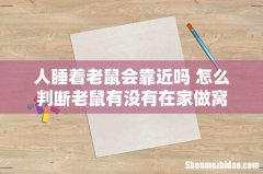 人睡着老鼠会靠近吗 怎么判断老鼠有没有在家做窝