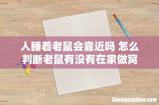 人睡着老鼠会靠近吗 怎么判断老鼠有没有在家做窝
