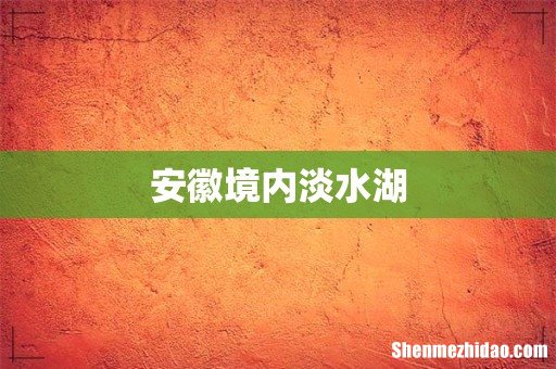 安徽境内淡水湖