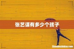 张艺谋有多少个孩子