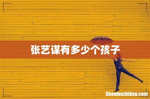 张艺谋有多少个孩子