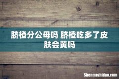 脐橙分公母吗 脐橙吃多了皮肤会黄吗