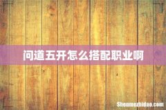 问道五开怎么搭配职业啊