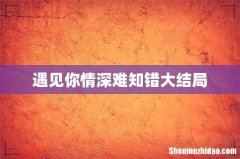 遇见你情深难知错大结局