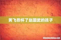 黄飞燕怀了赵国武的孩子