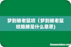 梦到被老鼠咬（梦到被老鼠咬胳膊是什么意思)
