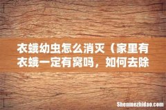 家里有衣蛾一定有窝吗，如何去除 衣蛾幼虫怎么消灭