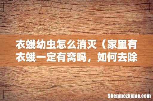 家里有衣蛾一定有窝吗,如何去除 衣蛾幼虫怎么消灭