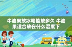 牛油果放冰箱能放多久 牛油果适合放在什么温度下