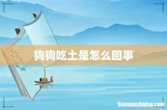 狗狗吃土是怎么回事