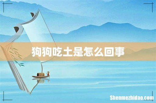 狗狗吃土是怎么回事