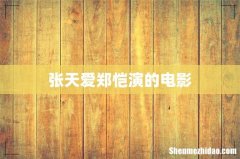 张天爱郑恺演的电影