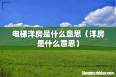洋房是什么意思 电梯洋房是什么意思