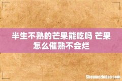 半生不熟的芒果能吃吗 芒果怎么催熟不会烂
