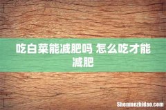 吃白菜能减肥吗 怎么吃才能减肥