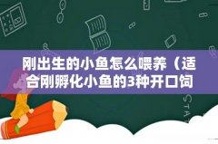 适合刚孵化小鱼的3种开口饲料 刚出生的小鱼怎么喂养