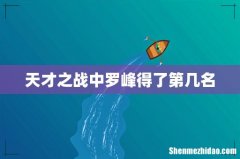 天才之战中罗峰得了第几名