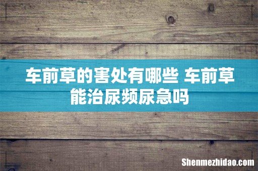 车前草的害处有哪些 车前草能治尿频尿急吗
