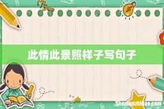 此情此景照样子写句子