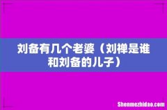 刘禅是谁和刘备的儿子 刘备有几个老婆