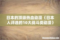 日本人评选的10大战斗类动漫 日本的顶级热血动漫