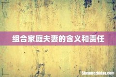 组合家庭夫妻的含义和责任
