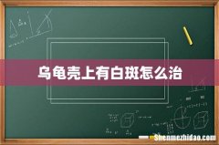 乌龟壳上有白斑怎么治