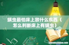 怎么判断床上有螨虫 螨虫最怕床上放什么东西
