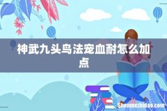 神武九头鸟法宠血耐怎么加点