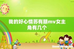 我的好心情苏有朋mv女主角有几个