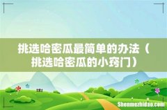 挑选哈密瓜的小窍门 挑选哈密瓜最简单的办法