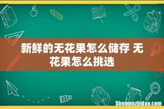 新鲜的无花果怎么储存 无花果怎么挑选
