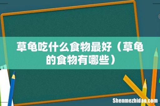 草龟的食物有哪些 草龟吃什么食物最好