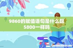 9860的赋值语句是什么跟5800一样吗