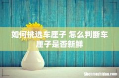 如何挑选车厘子 怎么判断车厘子是否新鲜